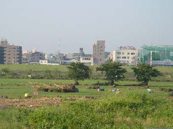 t831.jpg