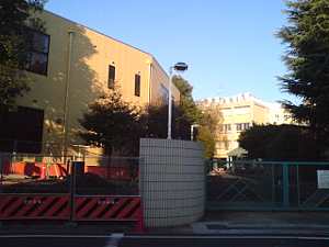 二子玉川便り 世田谷総合高等学校の桜が伐採されました