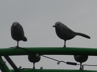 t4834鳥の置物
